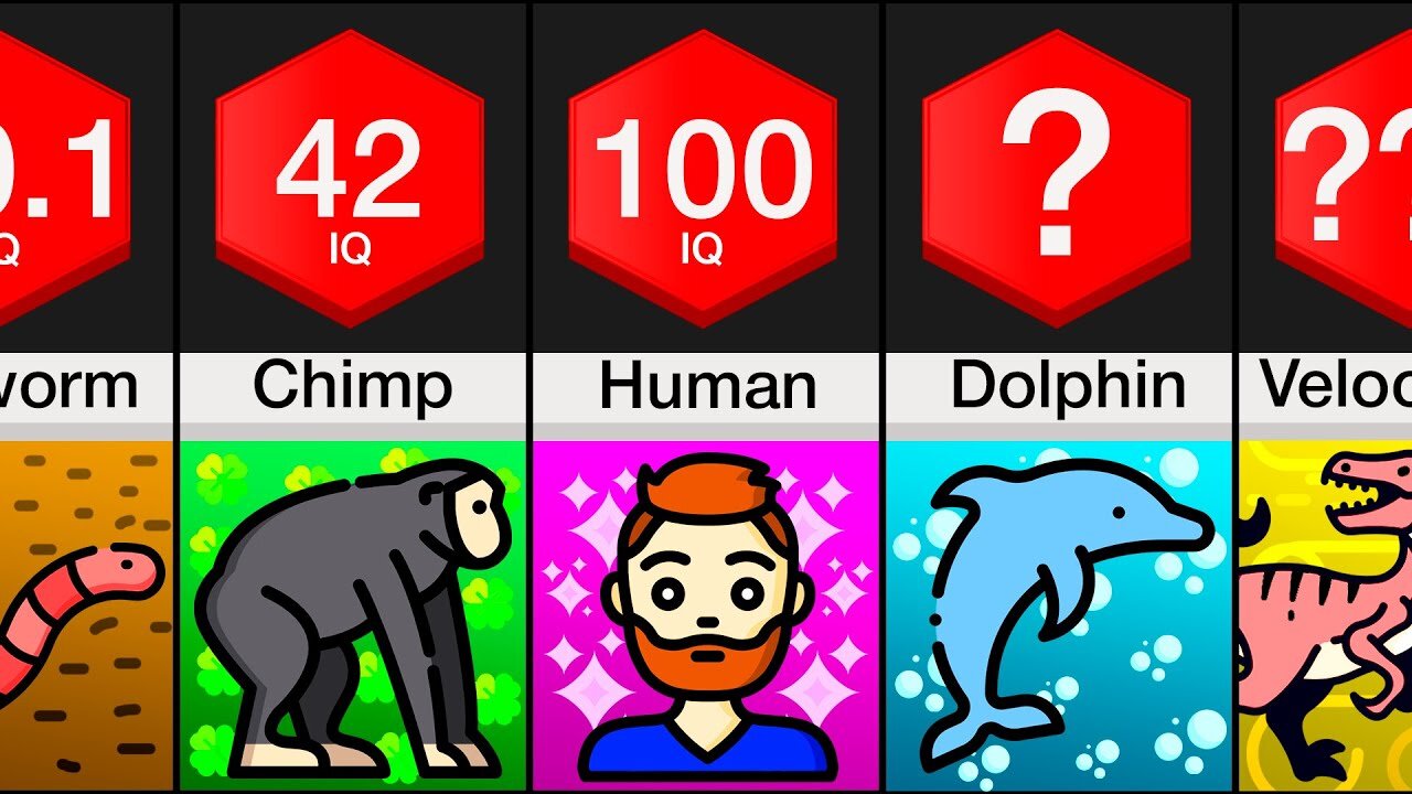 Stupidest Animals Comparison