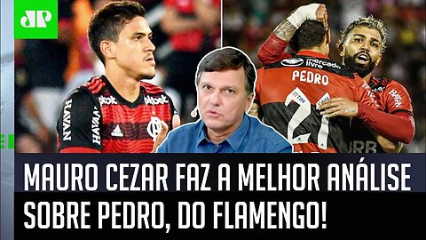 "Gente, o Pedro ESCOLHEU ISSO!" Mauro Cezar faz a MELHOR ANÁLISE sobre o atacante do Flamengo!