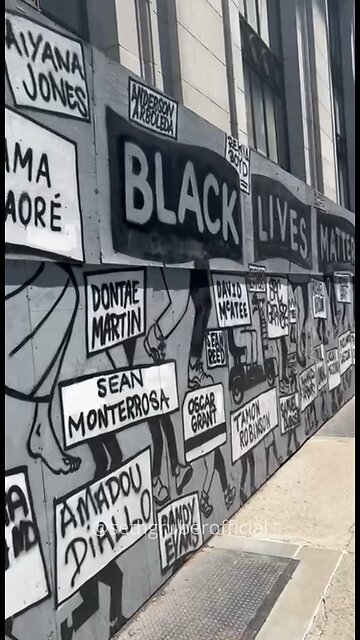 BLM Only Cares About Leftist Agenda