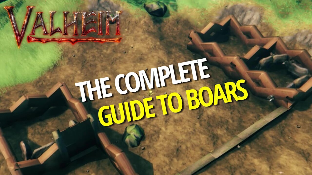 Complete Guide To Boars - Valheim