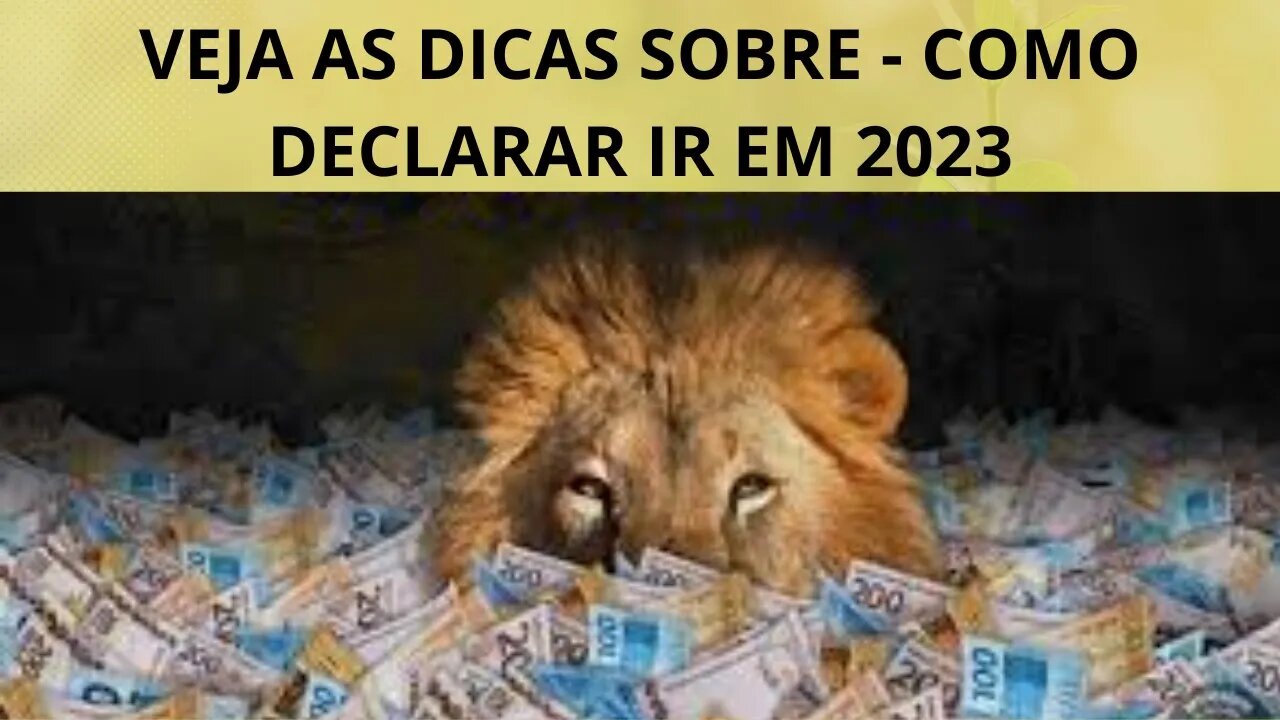 #impostoderenda 2023 VEJA DICAS PARA DECLARAR #fiis #fiinfra #opcoes #ações #tesourodireto #fiagro