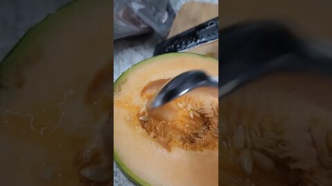 1st Cantaloupe From Our Garden This Year!