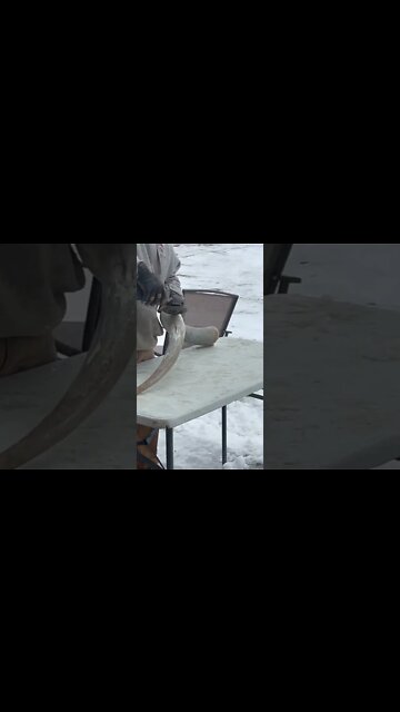 How to polish Texas Longhorns. #shorts