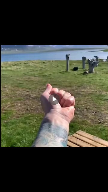 Eider duck feathers are prized as one of the most luxurious bedding materials because...