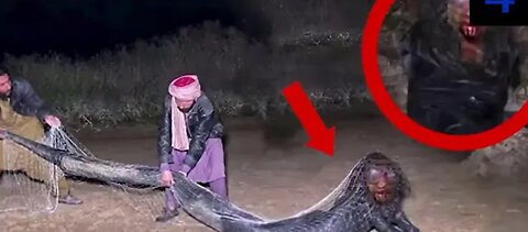 Mysterious Videos No One Can Rationally Explain