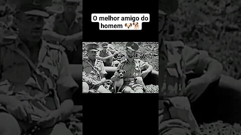 O melhor amigo do homem #war #ww2 #guerra