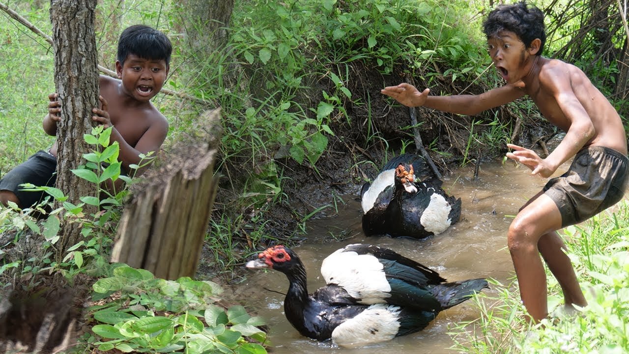 Primitive Wildlife - Yummy cooking DUCK recipe