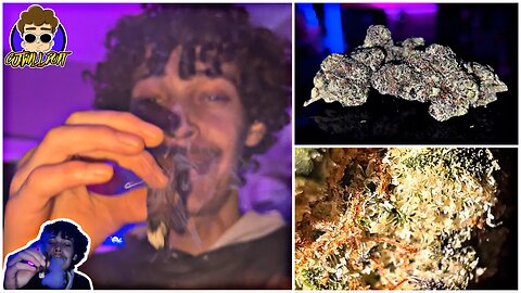 GLITTER BOMB - GRAPES GAS # 10 X OGKB BLUEBERRY HEADBAND