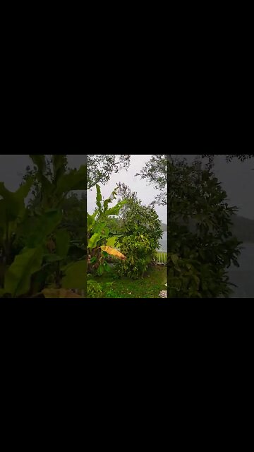 #HURRICANEIAN🌀IAN MOVES IN. #RAIN & #WINDS ARE PICKING UP #LIGHTNING IN THE AREA #FLORIDA #SHORTS