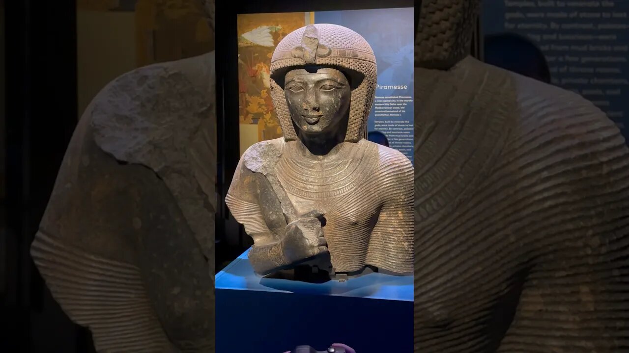 Egypt is coming to Sydney! Ramesses and the gold of the pharaoh exhibition coming Nov 23￼ #Shorts