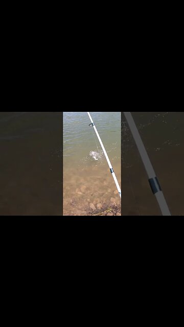 Cast Cray Crap Slap grub just CATCH bass all day long!