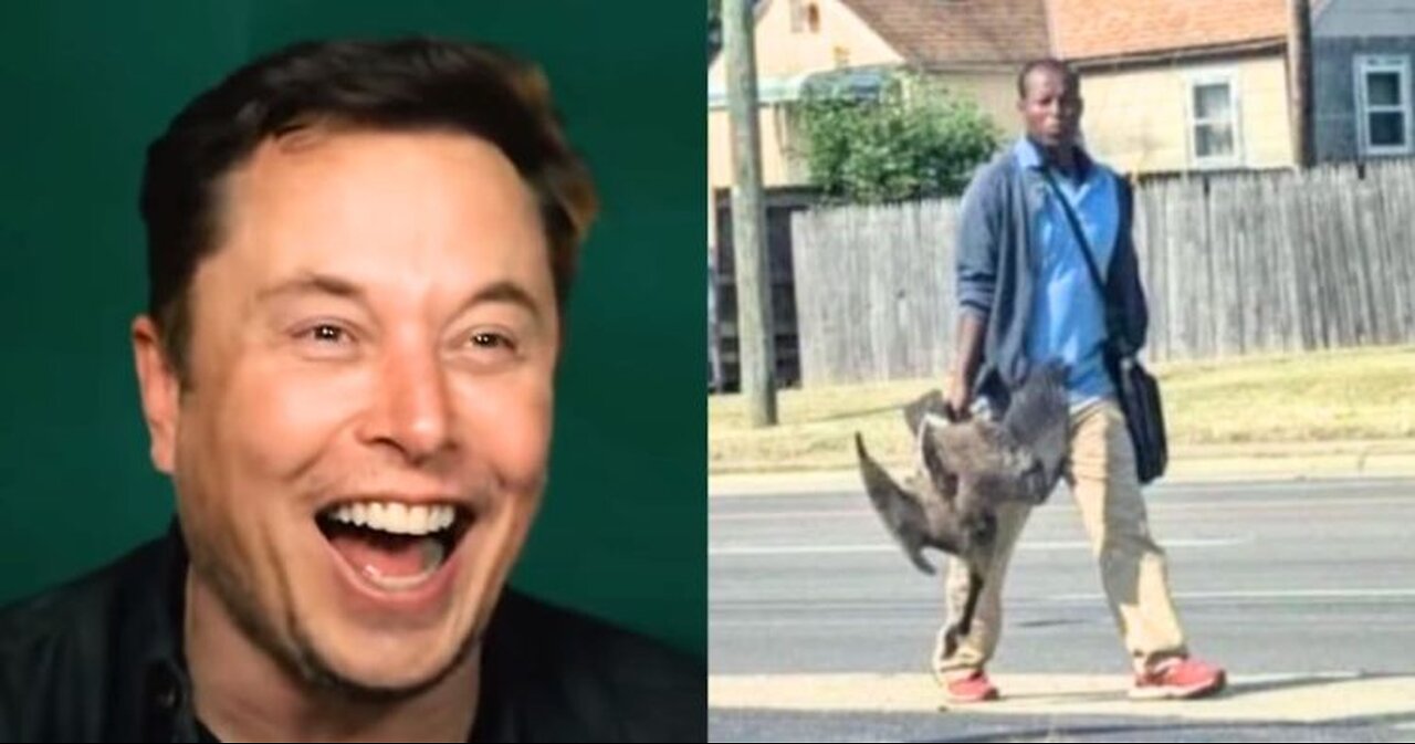 Elon Musk, MAGA Fuels Meme War Amid Viral Haitian Migrants Cat Eating Scandal