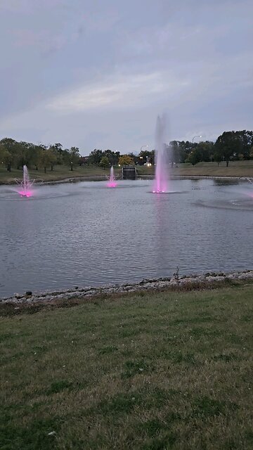 My Peaceful Place - In War, Nobody Wins, Everybody Loses