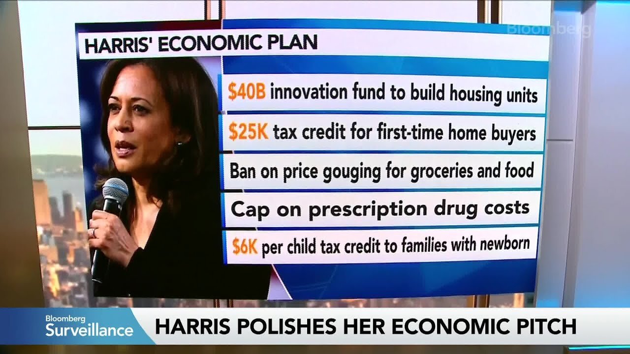 What Would the Kamala Harris Price Gouging Plan Do?