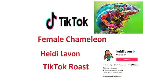 Heidi Lavon ·tiktok Roast ( influencer)