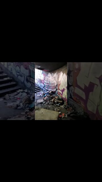 A Portland SW Tunnel (SUBSCRIBE) From THIS Landscape