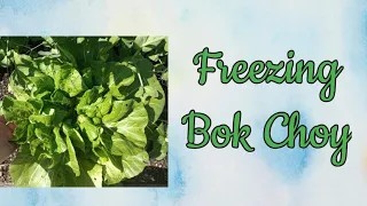 How to Freeze Bok Choy 2023