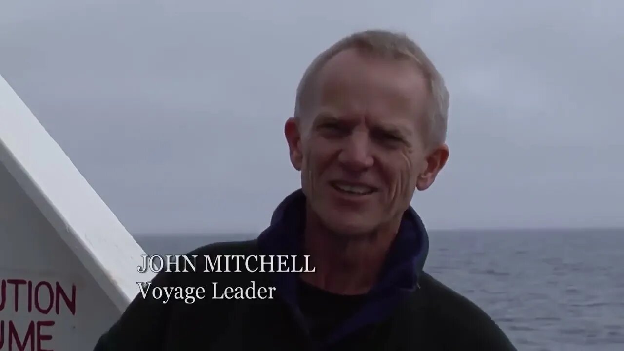 Expedition Antarctica Free Documentary