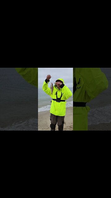 1st Porgy of May 2023