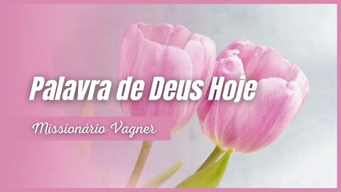 Abraão venceu porque creu nas promessas de Deus - Palavra do Dia Hoje