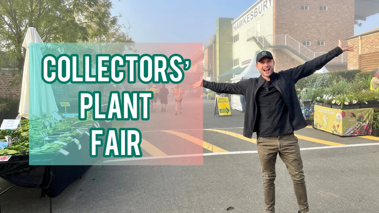 GOING TO THE COLLECTORS' PLANT FAIR - soooooo many plants !! - vlog