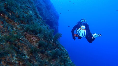 Relaxing Nature 4K: Underwater World is Beautiful! - Scuba Diving Video Clips with Calming Music