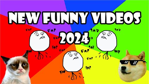 New Funny Videos 2024