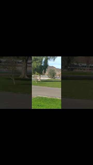 Buckskin Mountain State Park [2] 3.27.2023