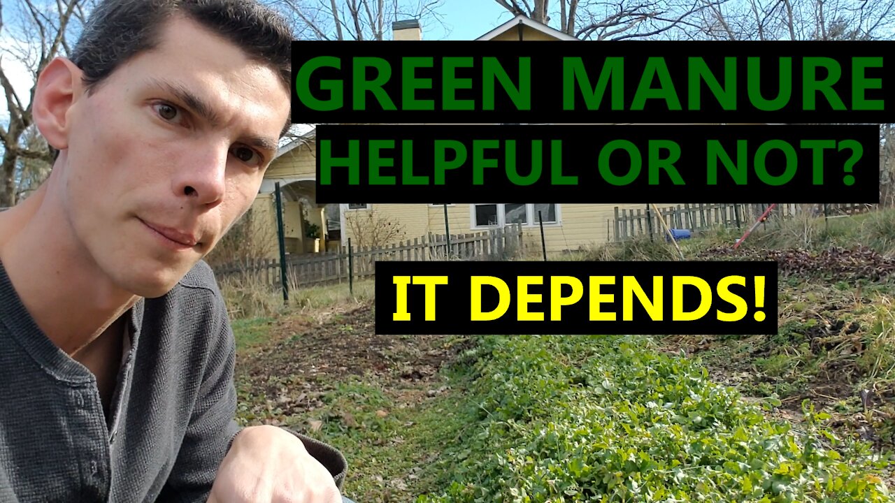 2 Considerations for Whether To Use Green Manure When Planning Your Garden!