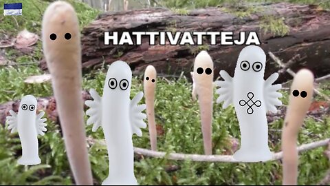 Hattivatteja