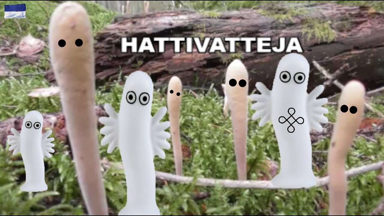 Hattivatteja