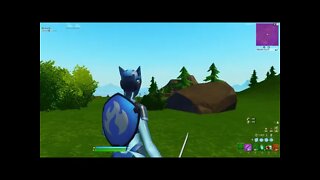 Session 5: Fortnite (1v1 realistic matchmaking) - -