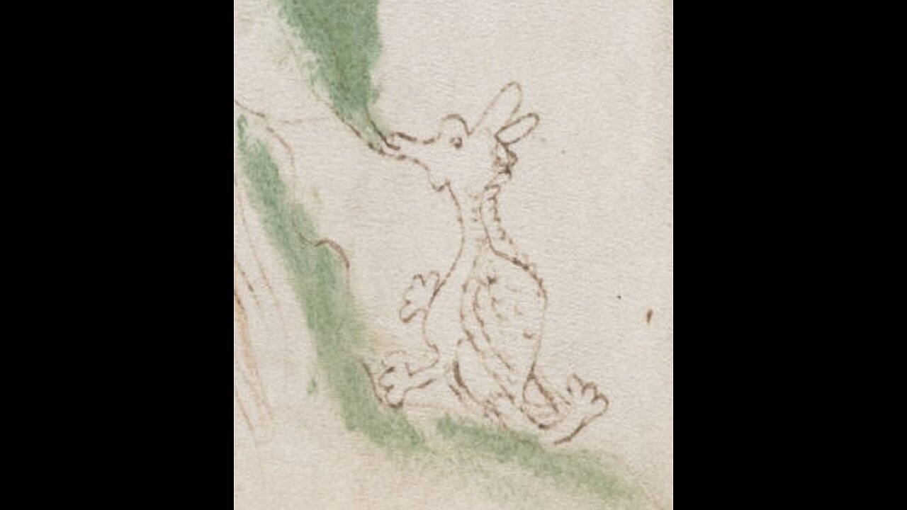 Voynich Manuscript