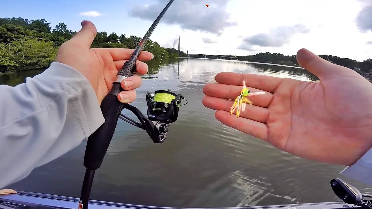 This is SO Much FUN - Popping Bug Pan Fishing