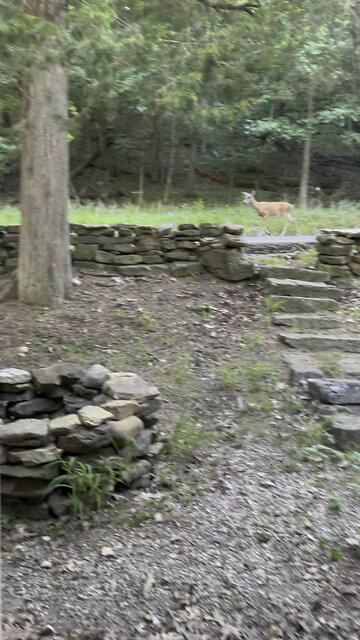 How Dare She Walk By Without Saying Hi! (wait for it…) 🤣🤣🤣