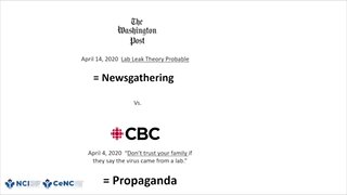 Rodney Palmer - Newsgathering VS Propaganda - National Citizens Inquiry