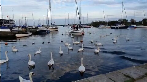 vlog in Christchurch 19th June 2023