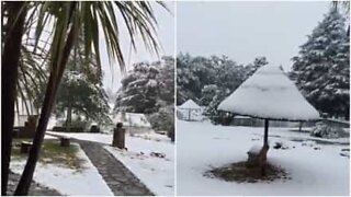 Neve cai na África do Sul em pleno Verão