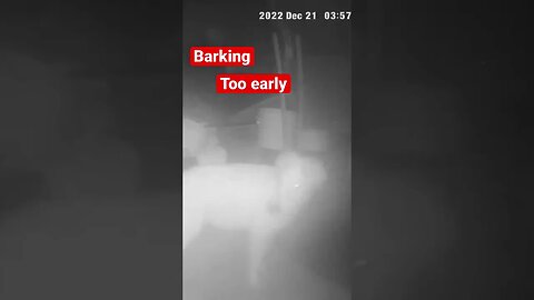 Stopped dog barking over security camera. Very effective.