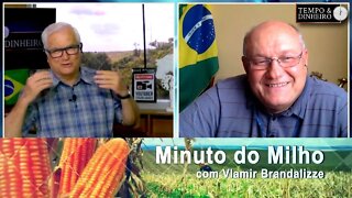 Portos comprando Milho