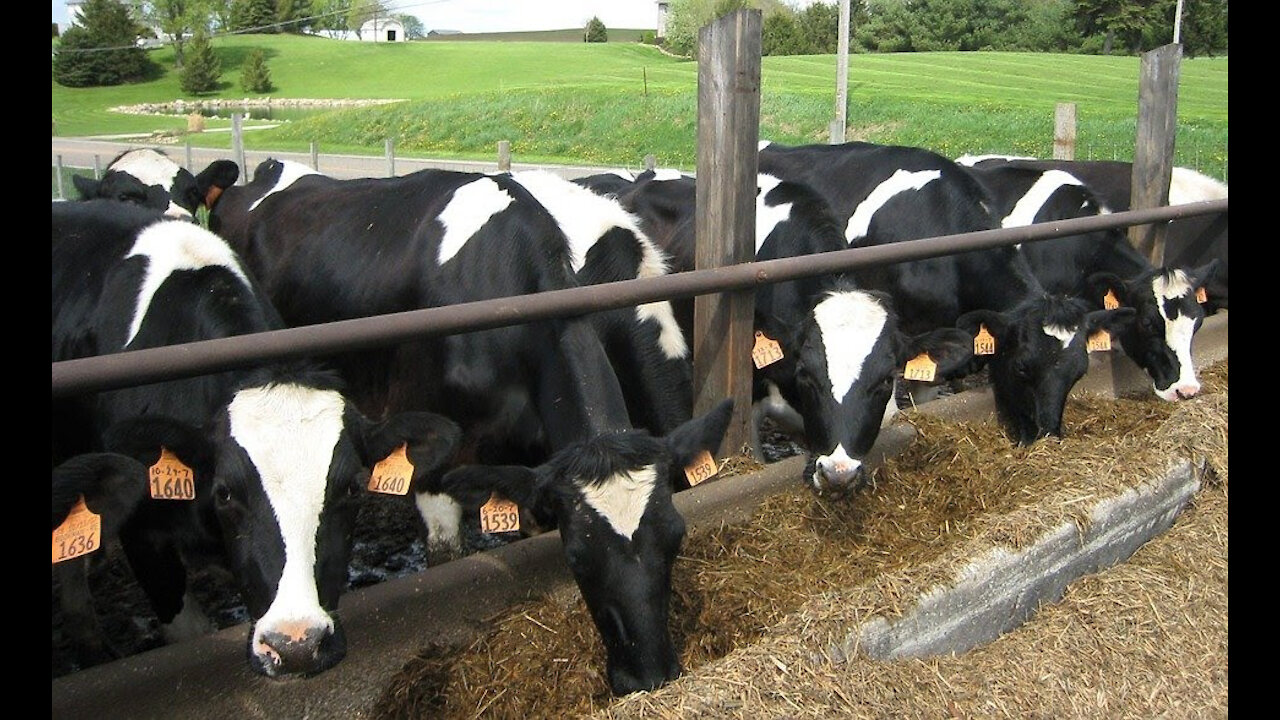 UK Food Crisis & Biden’s New Climate Rule Attacks Farming