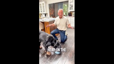 RFK JR - Cooking Stories