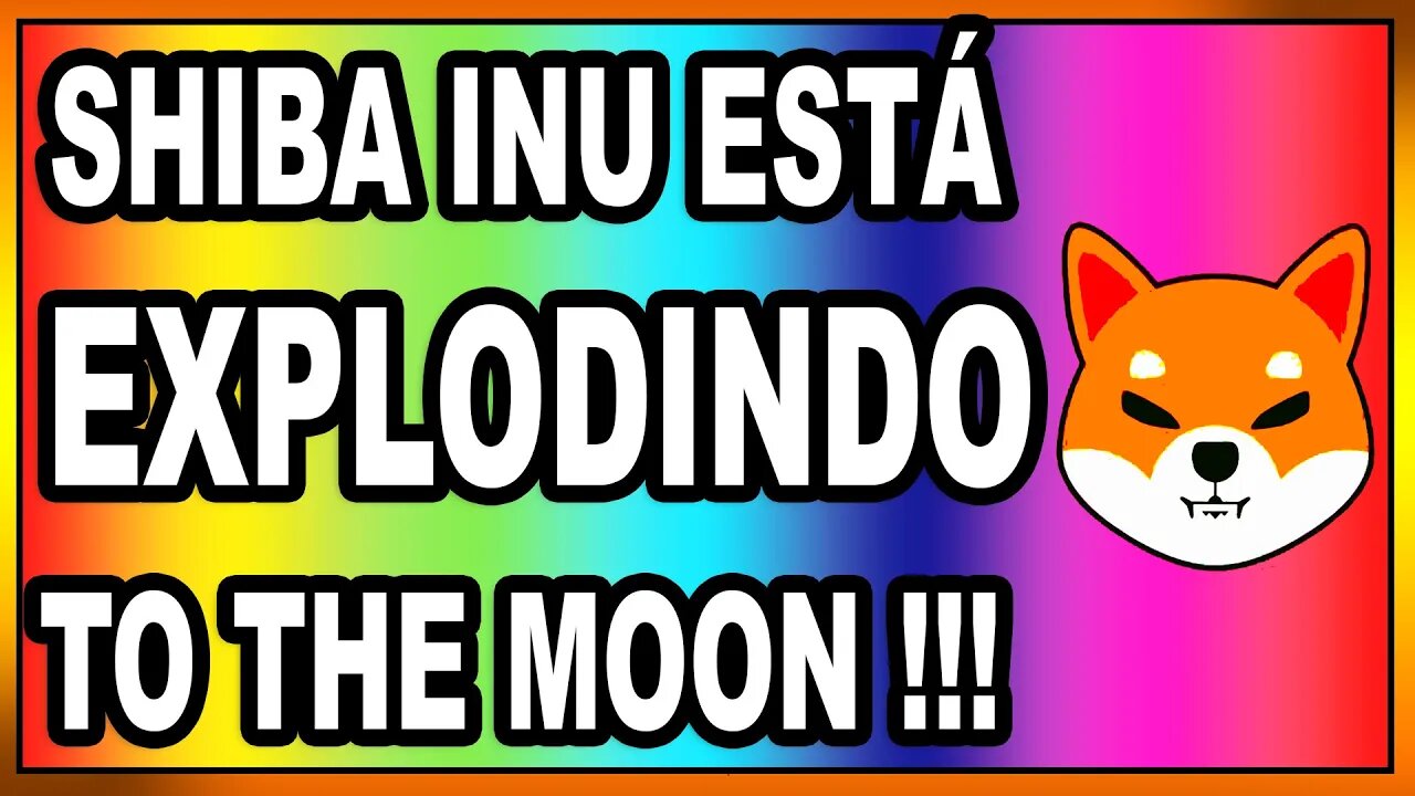 SHIBA INU ESTÁ EXPLODINDO TO THE MOON !!!