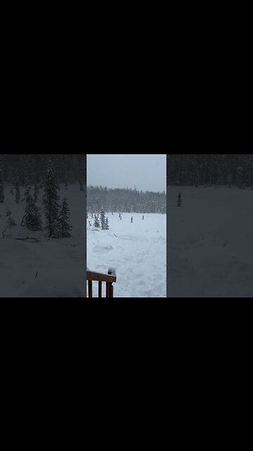 April in ALASKA! Snow blizzard!😍❄️ #HomeFreeAlaska #Shorts #OffGrid #Alaska #CabinLife #AlaskaLife