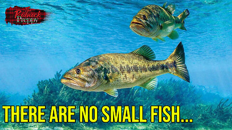 There Are No Small Fish...