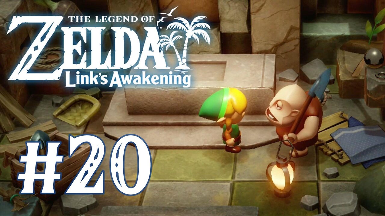 The Legend of Zelda: Link's Awakening (2019) - Dampé's Shack 1