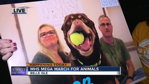 Mega March for Animals Detroit