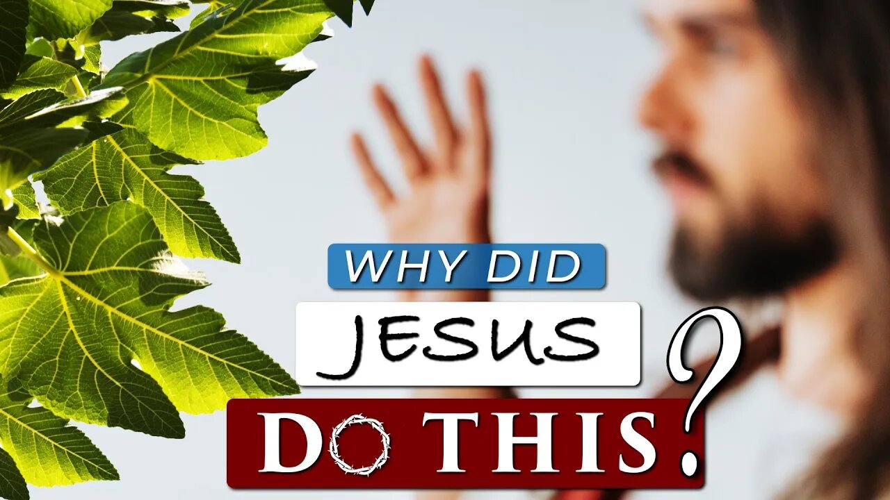 Why did JESUS CURSE the FIG TREE??