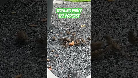 Walking Philly The Podcast #philadelphia #walkingphillythepodcast #centercityphilly