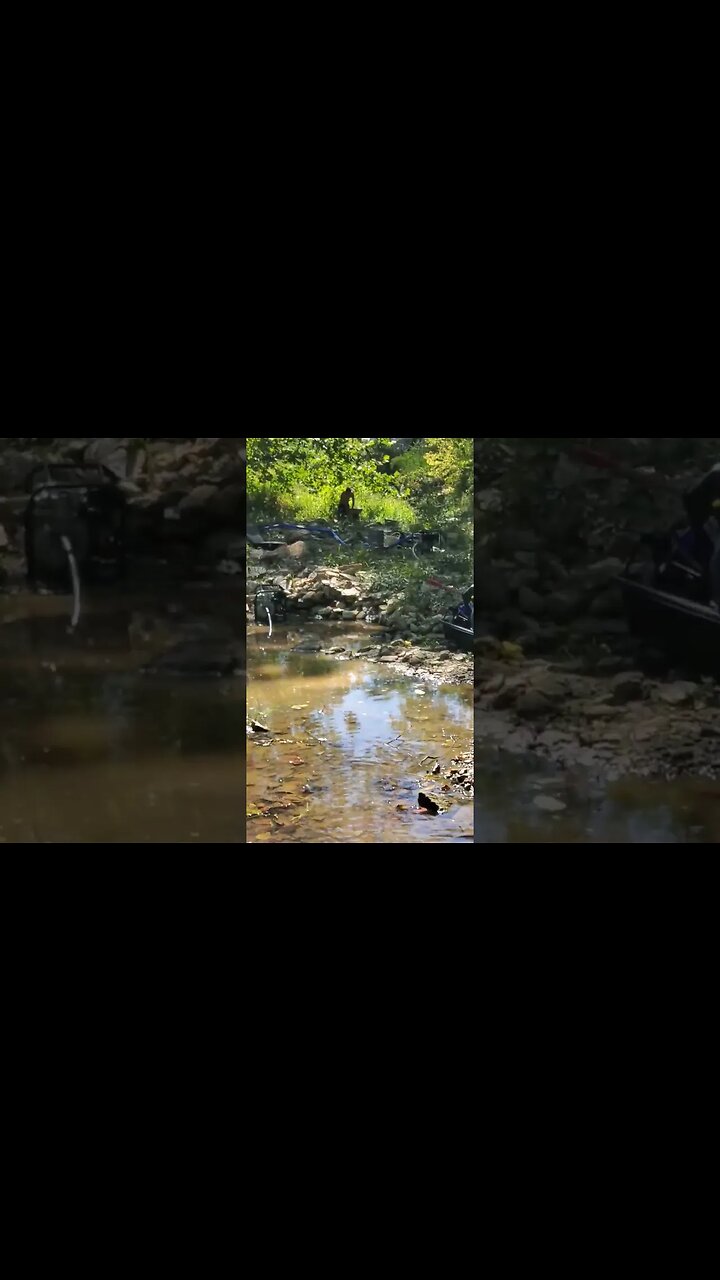 Creek Therapy | Cottonwood Trails Gold Camp